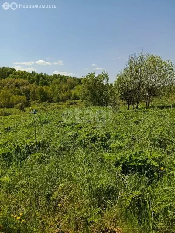 Участок в Кемеровская область, Прокопьевск (5.6 м) - Фото 1