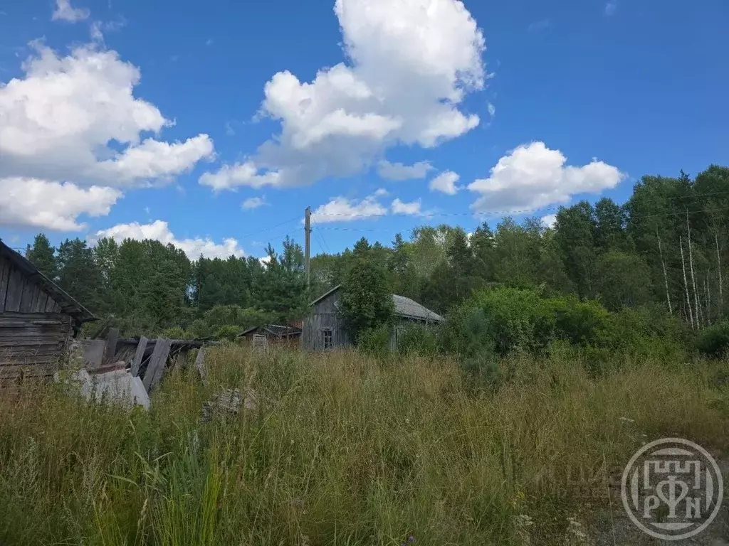 Участок в Ленинградская область, Приозерский район, Севастьяновское ... - Фото 2