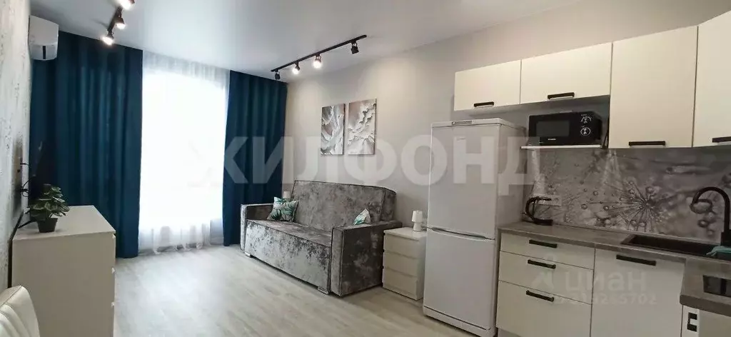 Студия Новосибирская область, Новосибирск ул. Аэропорт, 88 (27.0 м) - Фото 0