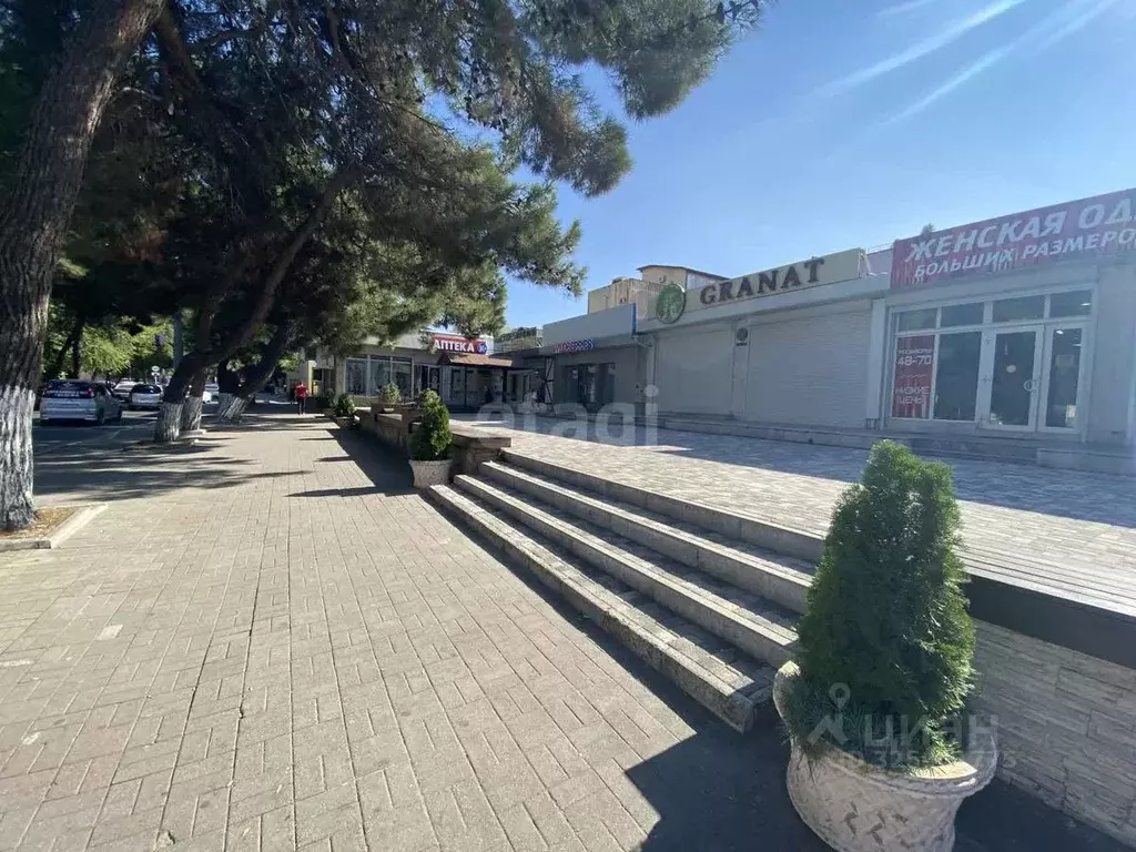 Помещение свободного назначения в Краснодарский край, Новороссийск ул. ... - Фото 1