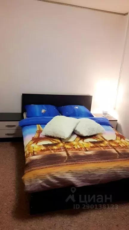 1-к кв. Камчатский край, Петропавловск-Камчатский Ленинградская ул., ... - Фото 1