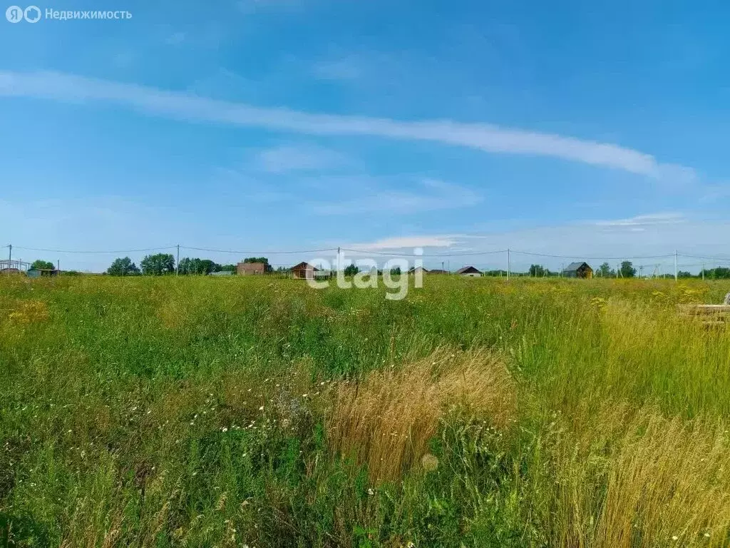 Участок в Новосибирский район, Морской сельсовет, село Ленинское (6.5 ... - Фото 1