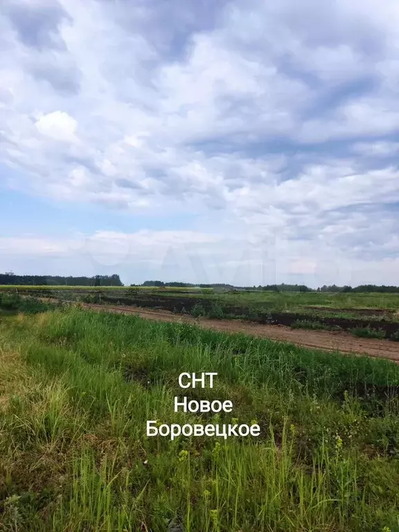 Участок 10 сот. (СНТ, ДНП) - Фото 0