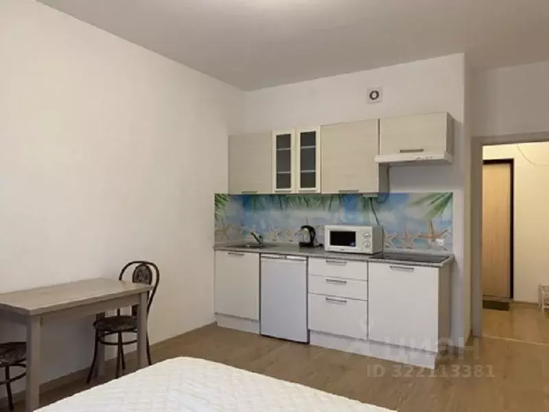 Студия Санкт-Петербург аллея Арцеуловская, 23к1 (25.0 м) - Фото 1