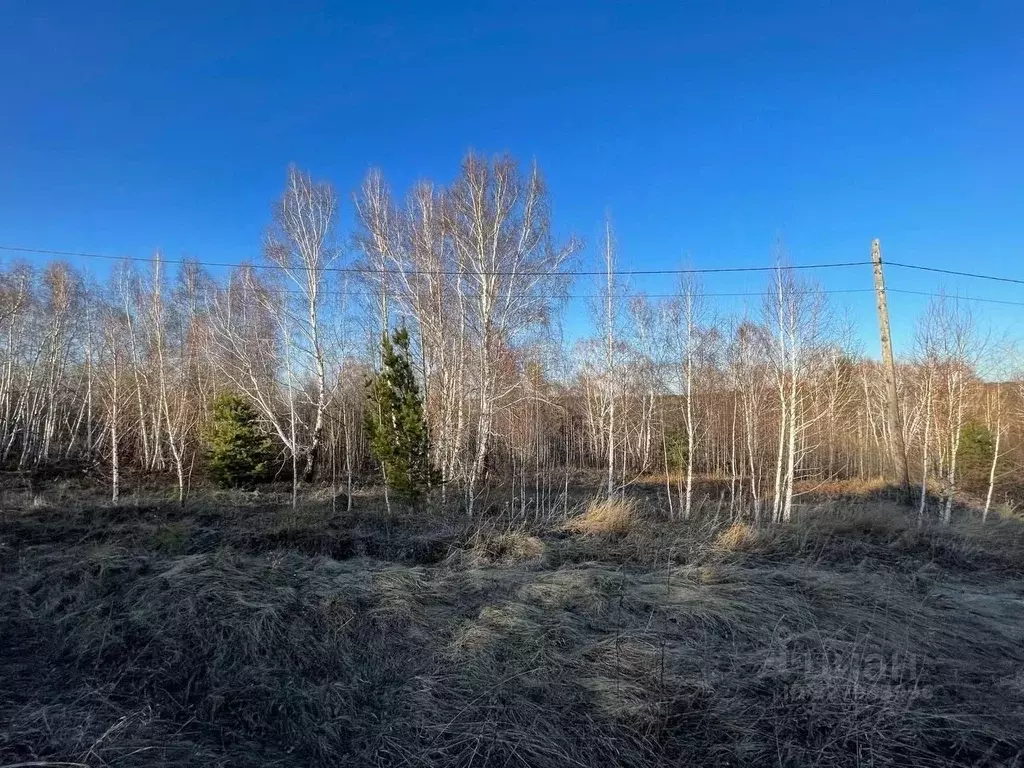 Участок в Иркутская область, Иркутский муниципальный округ, Лесное СНТ ... - Фото 1