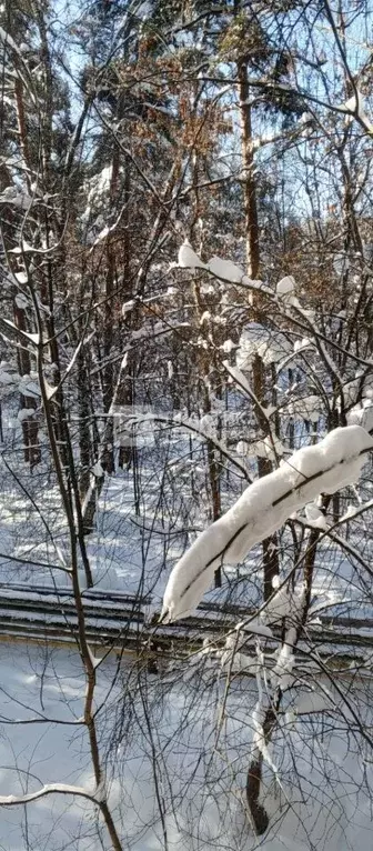 1-к кв. Московская область, Балашиха Гагарина мкр, 9 (31.0 м) - Фото 2