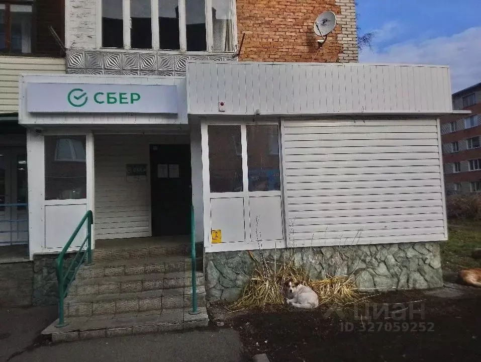 Помещение свободного назначения в Алтайский край, Барнаул ул. ... - Фото 1