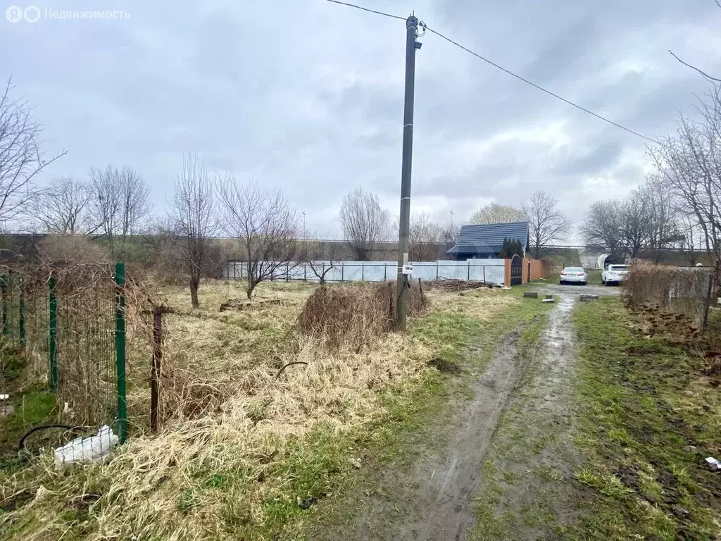 Участок в Калининград, СНТ Чайка, Каштановая улица (7.06 м) - Фото 2