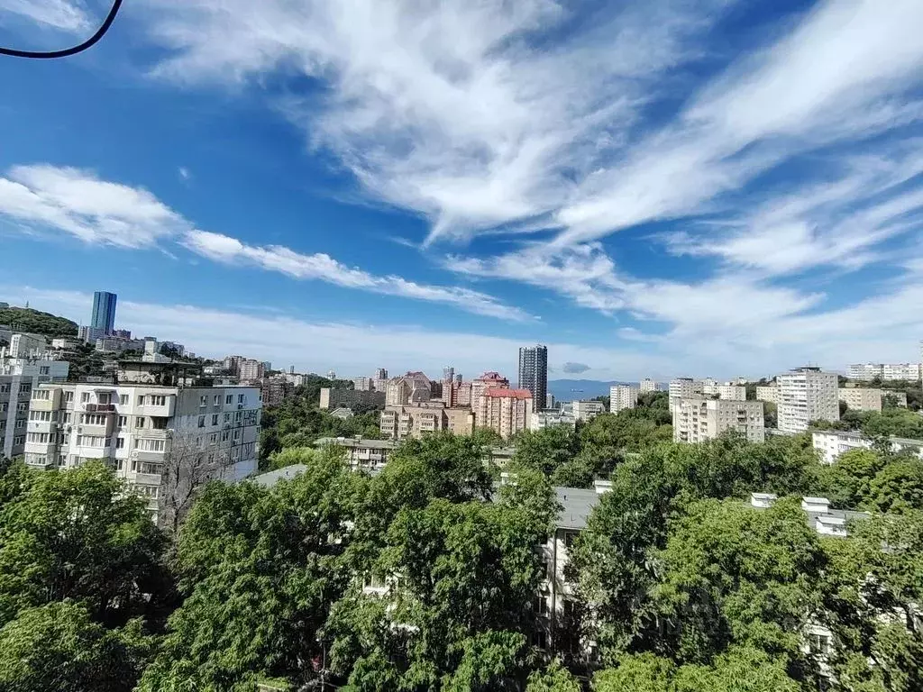 2-к кв. Приморский край, Владивосток Океанский просп., 90 (48.0 м) - Фото 1