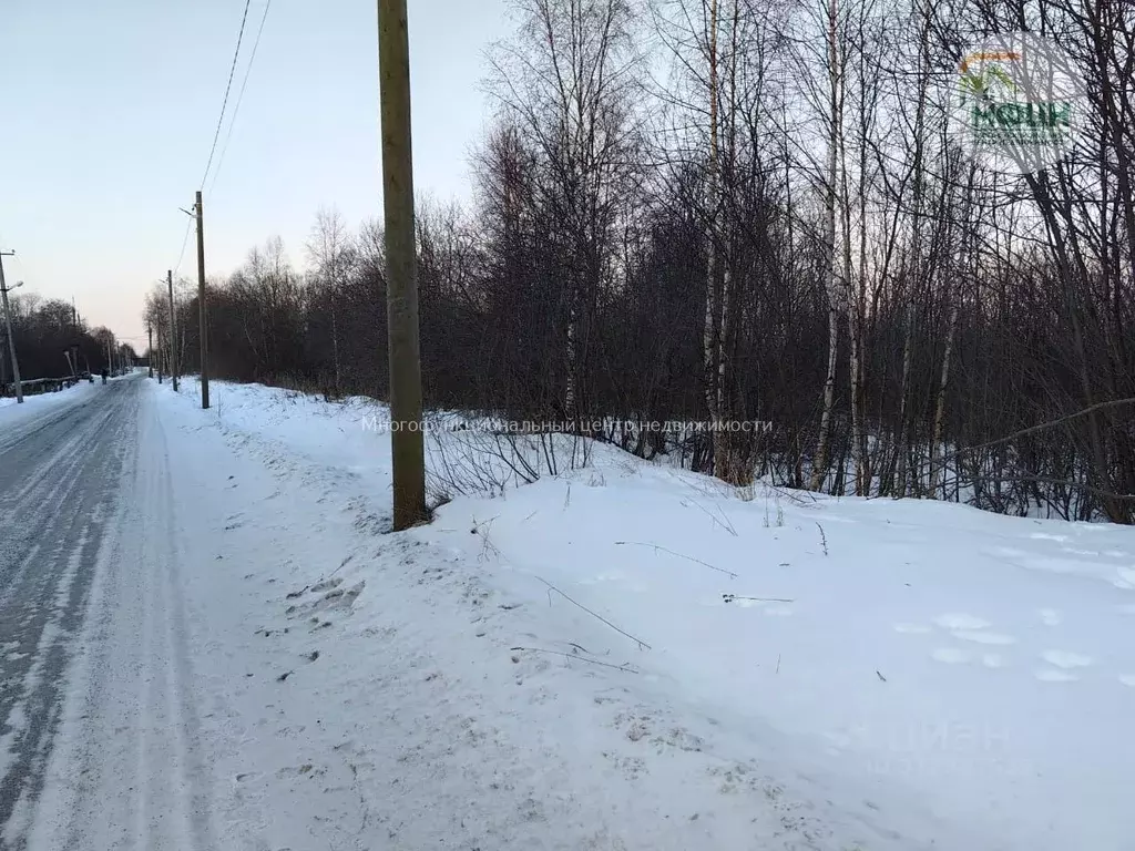 Участок в Карелия, Кондопожский район, Янишпольское с/пос, с. Янишполе ... - Фото 1