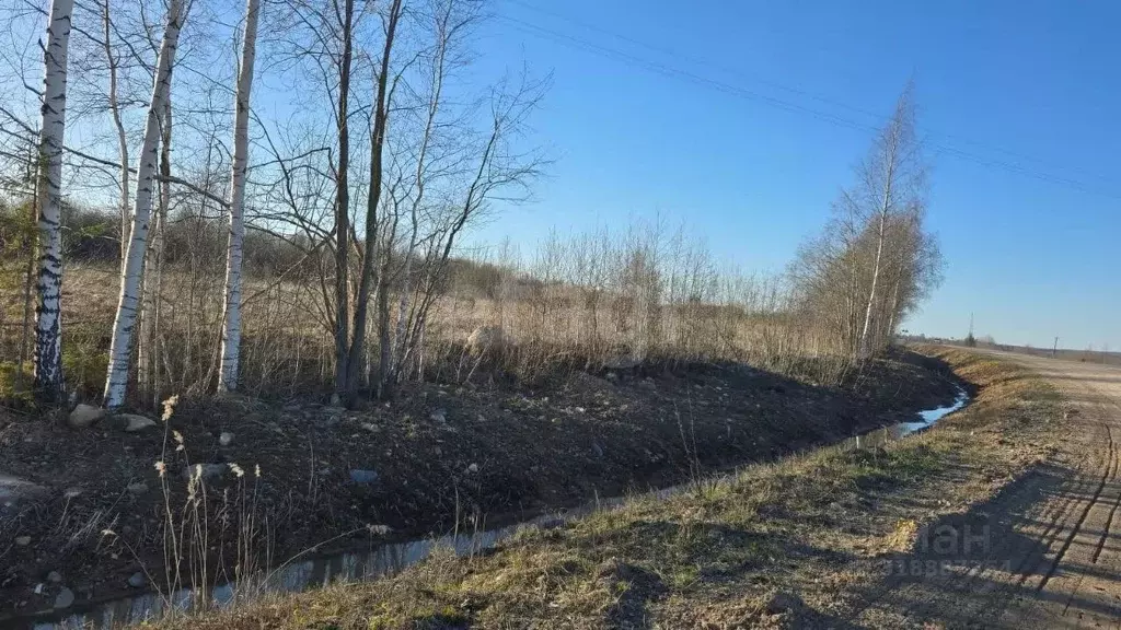 Участок в Вологодская область, Череповецкий район, д. Горка ... - Фото 1