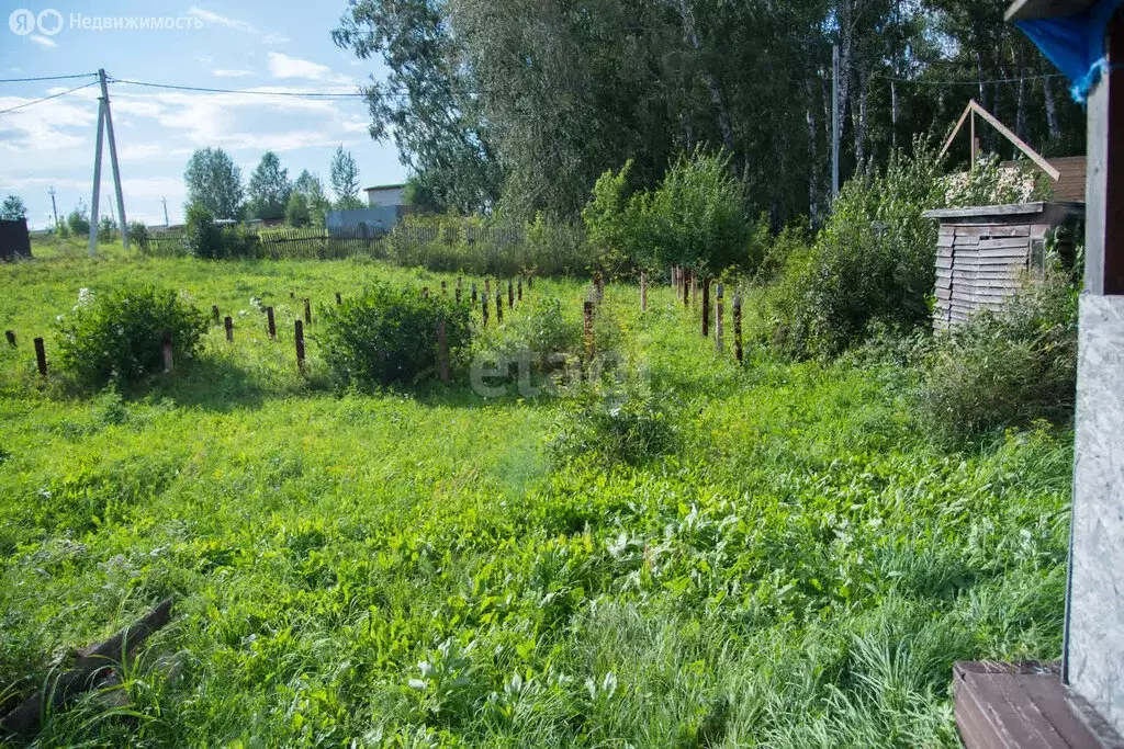 Участок в Бердск, СНТ Марьин Лог (9.2 м) - Фото 1