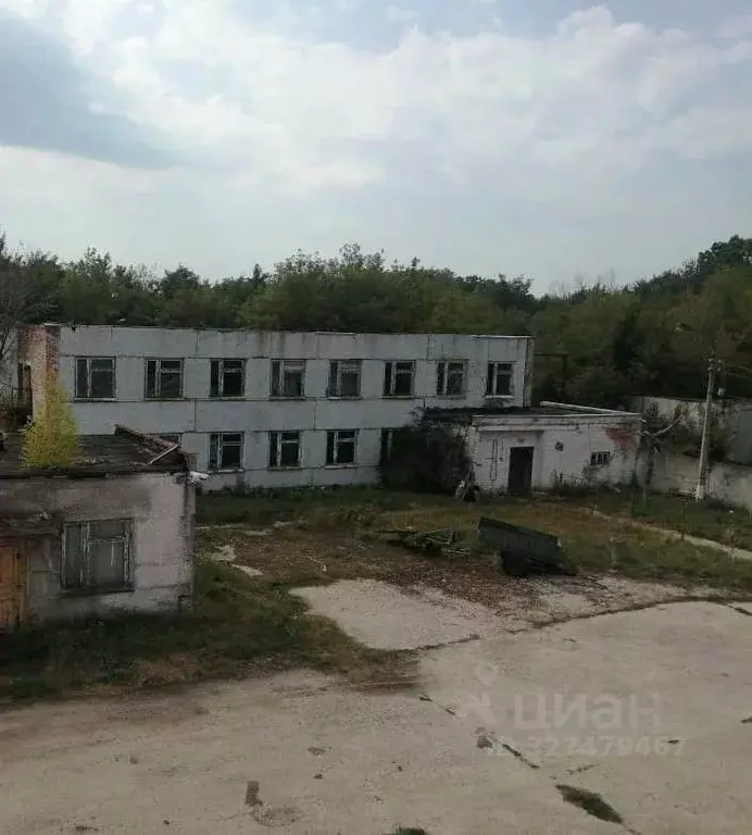 Помещение свободного назначения в Курская область, Золотухинский ... - Фото 1