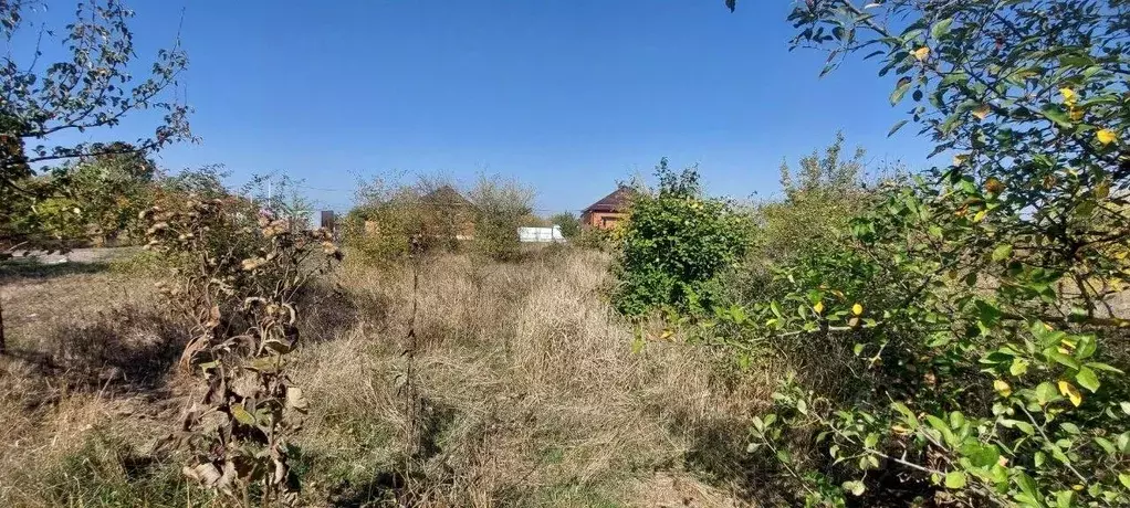Участок в Краснодарский край, Северский район, Афипское городское ... - Фото 1
