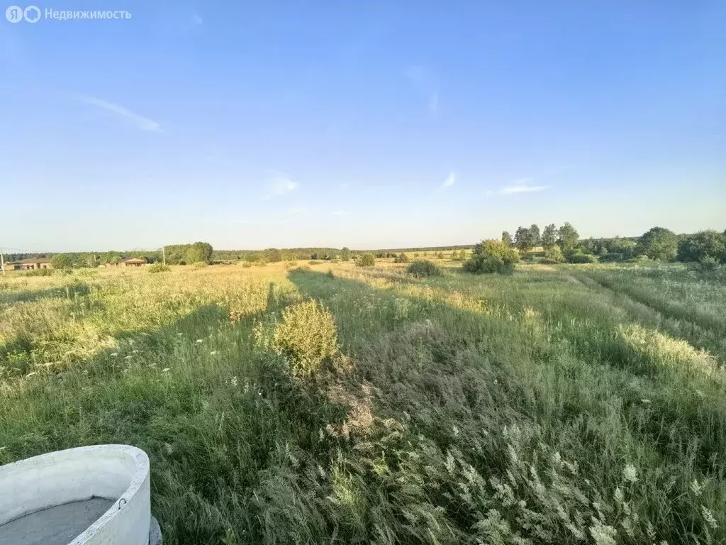 Участок в Медведевский район, Руэмское сельское поселение, деревня ... - Фото 1