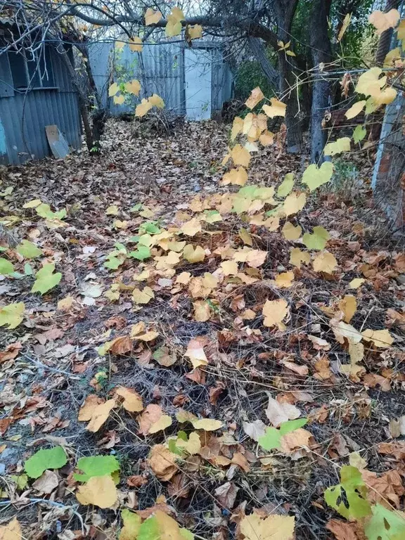 Участок в Саратовская область, Энгельсский район, Красноярское ... - Фото 1