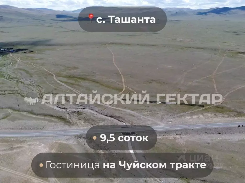Участок в Алтай, Кош-Агачский район, с. Ташанта Р-256 Чуйский тракт, ... - Фото 1