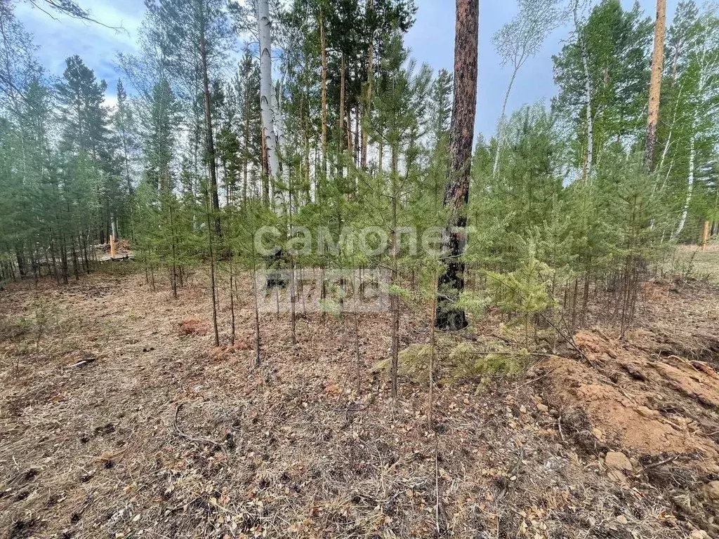 Участок в Забайкальский край, Читинский район, Березка ДНТ  (15.0 ... - Фото 1