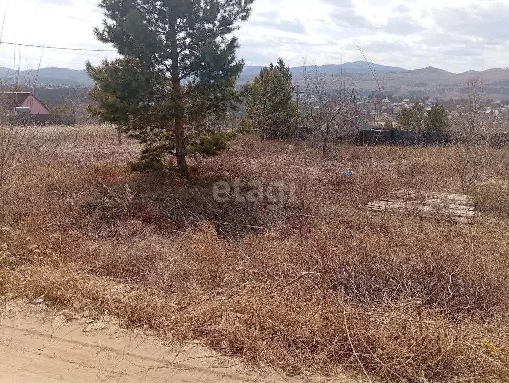 Участок в Бурятия, Тарбагатайский район, Саянтуйское с/пос, с. Нижний ... - Фото 2