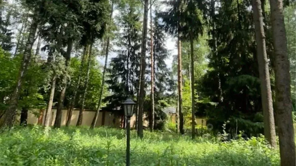 Участок в Московская область, Одинцовский городской округ, д. Бородки, ... - Фото 2