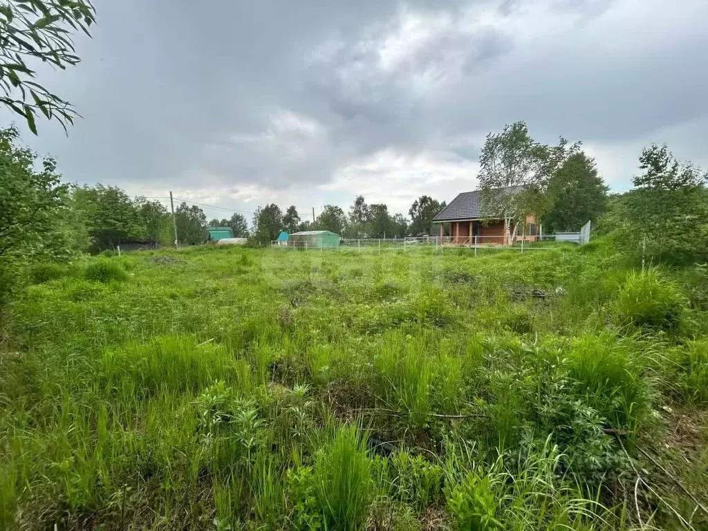 Участок в Камчатский край, Елизовский муниципальный округ, ... - Фото 1
