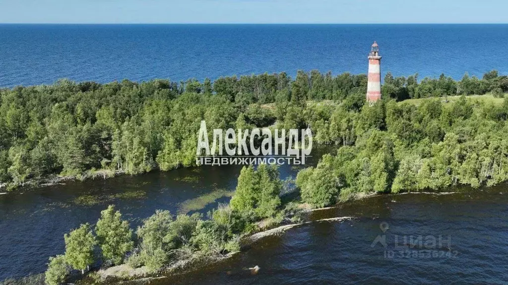 Участок в Карелия, Питкярантский муниципальный округ, Урочище Пелля ... - Фото 1