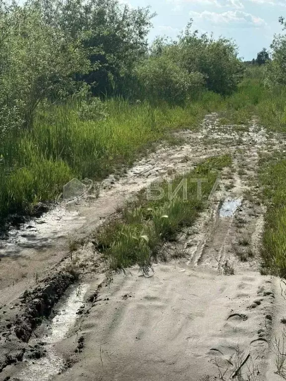 Участок в Тюменская область, Тюмень Березняки СНТ,  (12.0 сот.) - Фото 1