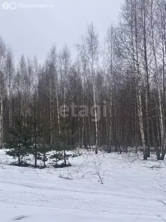 Участок в Нижегородская область, Городецкий муниципальный округ, ... - Фото 1