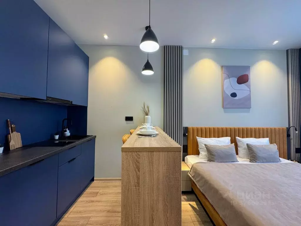 Студия Санкт-Петербург просп. Энергетиков, 8к2 (24.0 м) - Фото 1