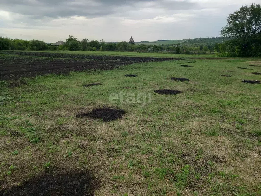 Участок в Белгородская область, Губкинский городской округ, с. ... - Фото 1