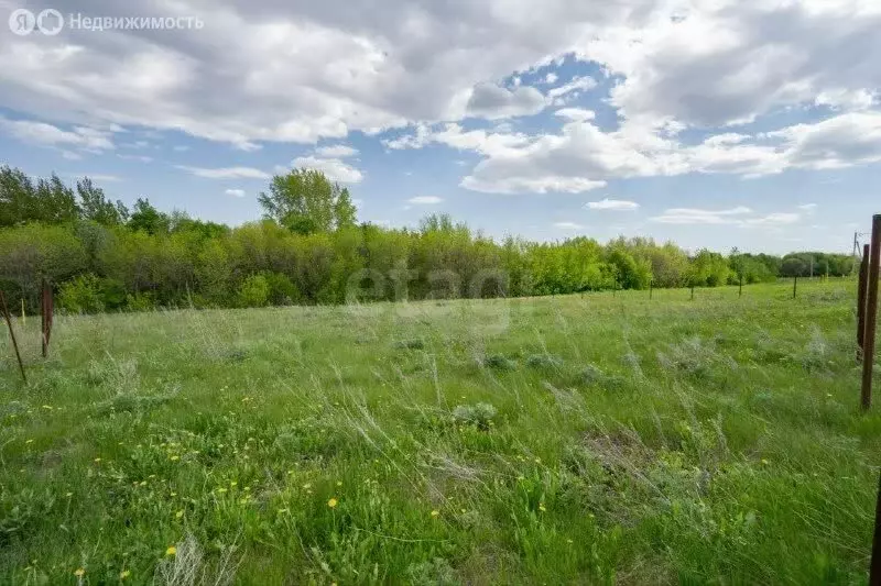 Участок в Тукаевский район, Азьмушкинское сельское поселение, СНТ ... - Фото 2