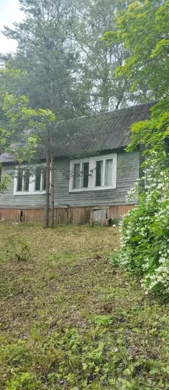 Участок в Ленинградская область, Всеволожский район, Лесколовское ... - Фото 0