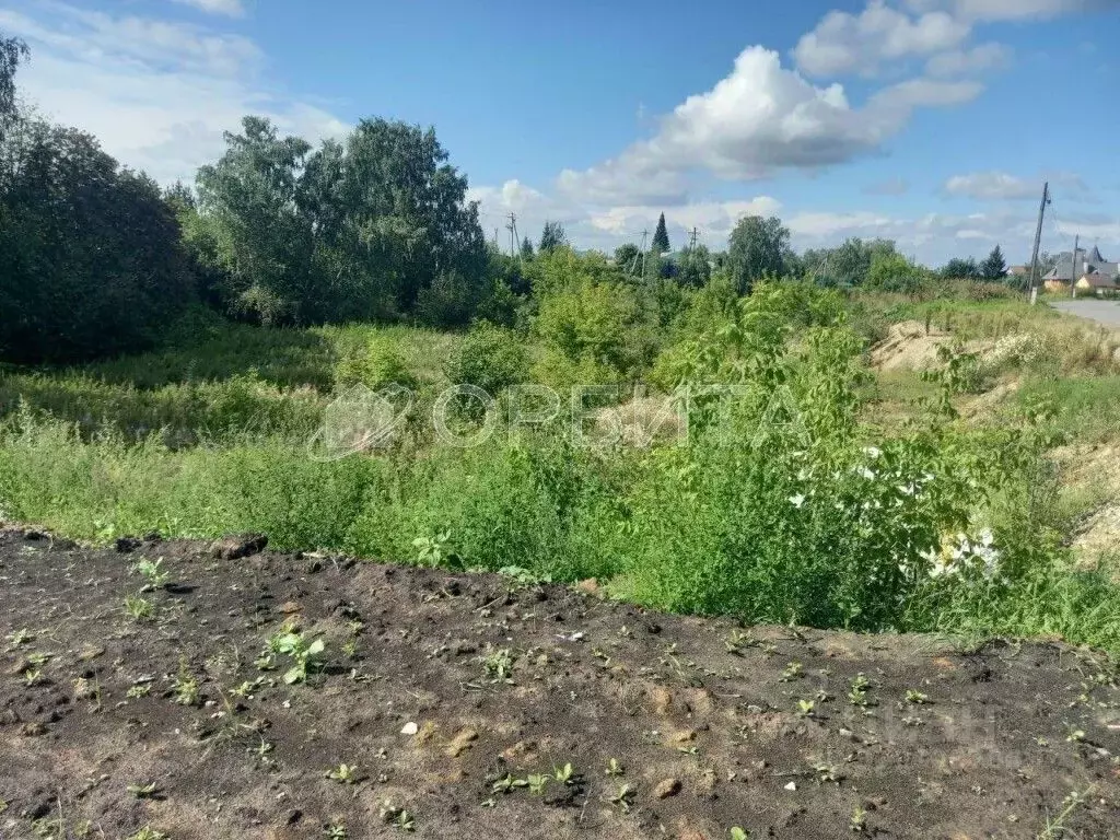 Участок в Тюменская область, Тюменский район, с. Луговое  (5.5 сот.) - Фото 0