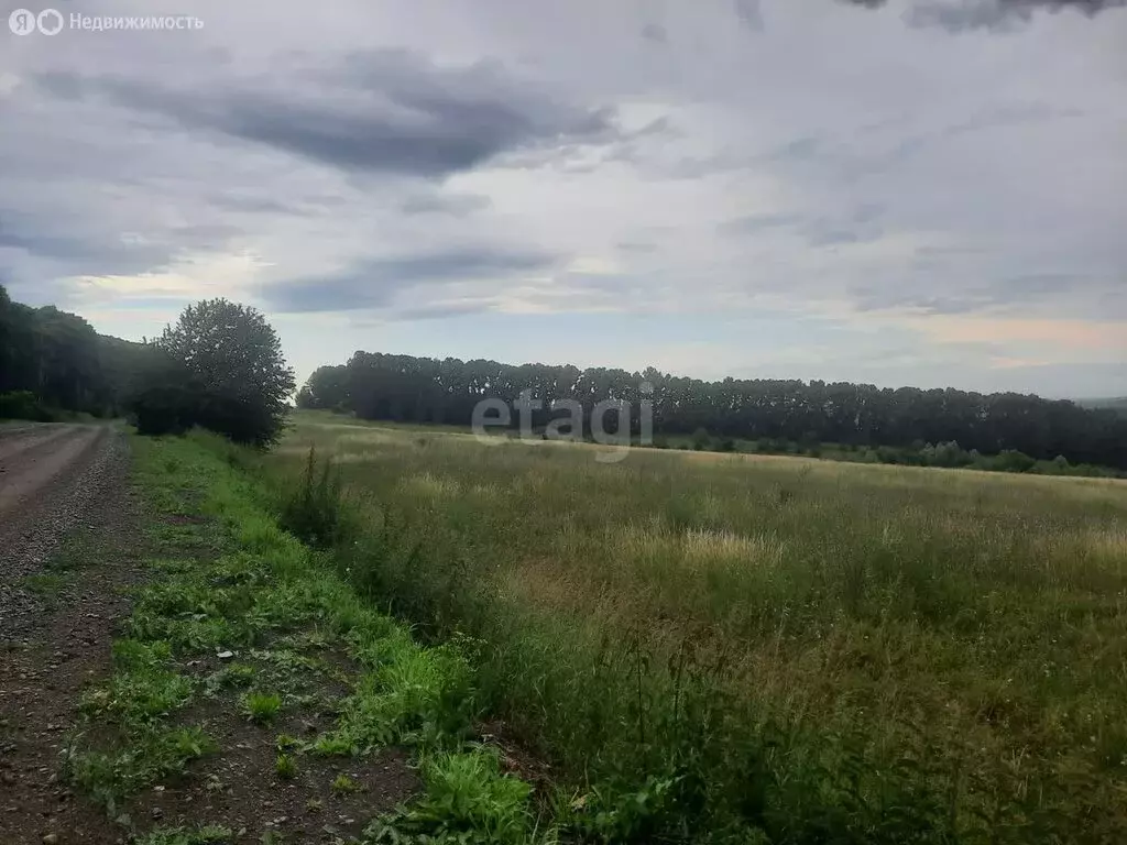 Участок в Смоленский район, село Черновая (6533.4 м) - Фото 1