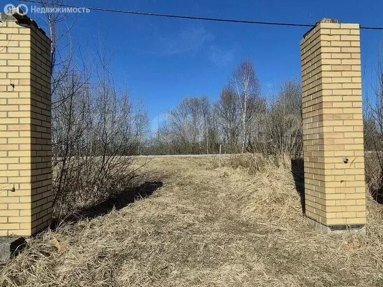 Участок в Богородский городской округ, село Новосергиево (11 м) - Фото 1