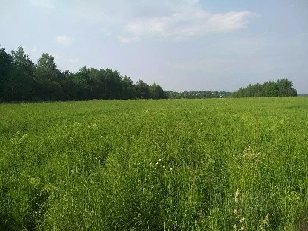 Участок в Московская область, Сергиево-Посадский городской округ, д. ... - Фото 0