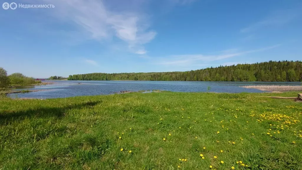 Участок в Пермский край, Чусовской муниципальный округ, деревня ... - Фото 0