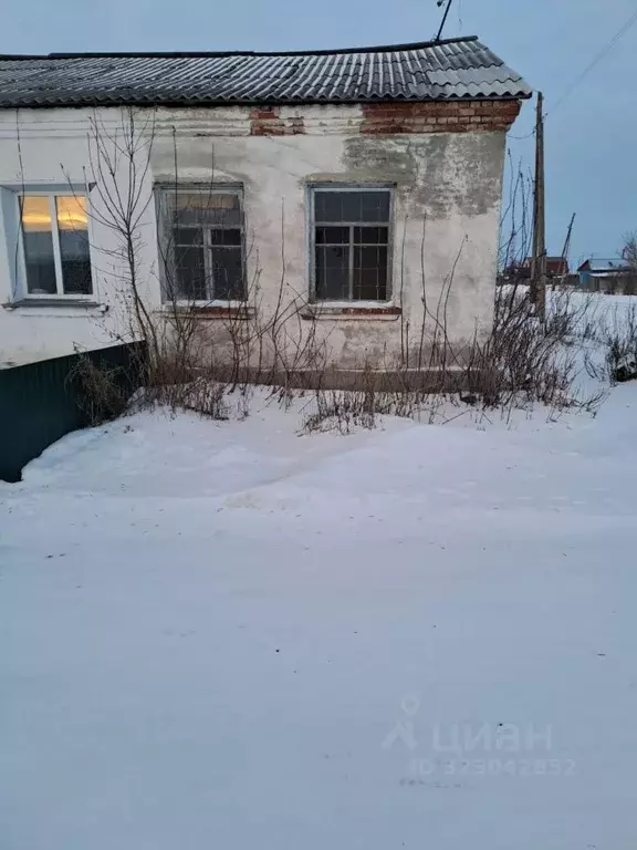 Помещение свободного назначения в Курганская область, Щучанский ... - Фото 2