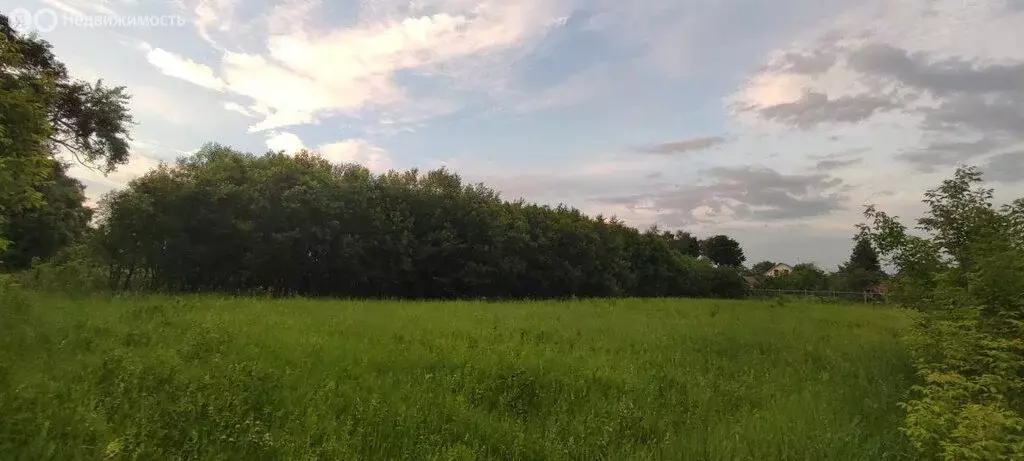 Участок в Московская область, городской округ Коломна, село Черкизово ... - Фото 2