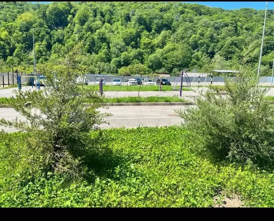 Студия Краснодарский край, Сочи городской округ, с. Краевско-Армянское ... - Фото 2