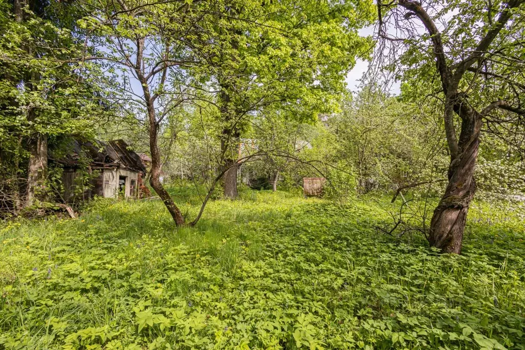 Участок в Московская область, Одинцовский городской округ, с. ... - Фото 2