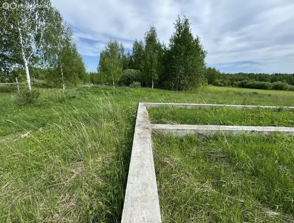Участок в Шуйский район, Перемиловское сельское поселение, деревня ... - Фото 0
