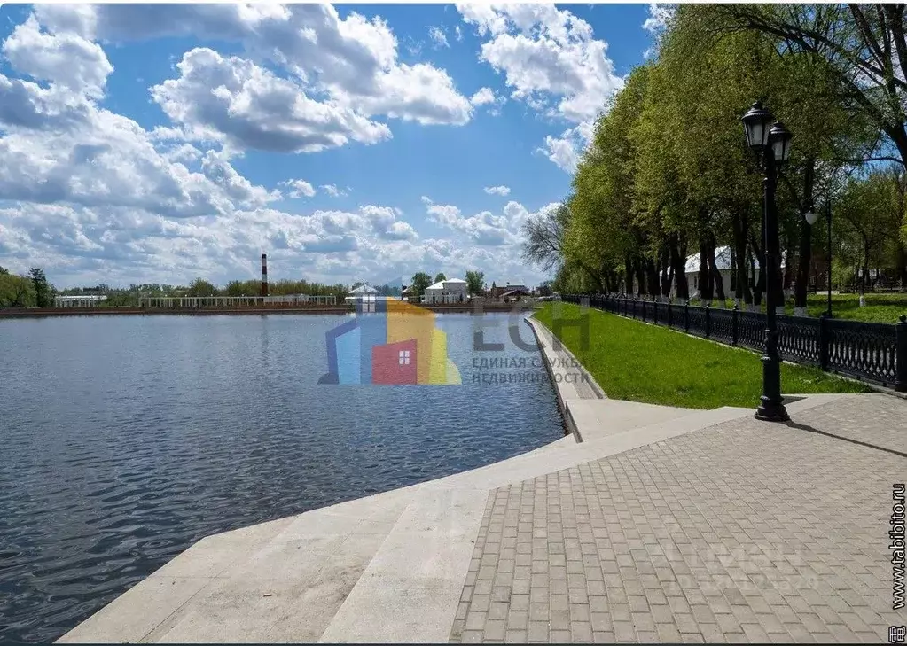 Участок в Тульская область, Богородицк ул. 10-й Армии, 17 (164.09 ... - Фото 2