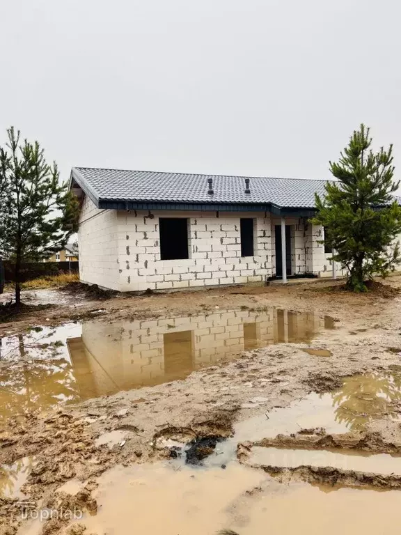 Дом в Нижегородская область, с. Безводное  (104 м) - Фото 2