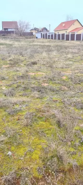 Участок в Волгоградская область, Городищенский район, Царицынское ... - Фото 2