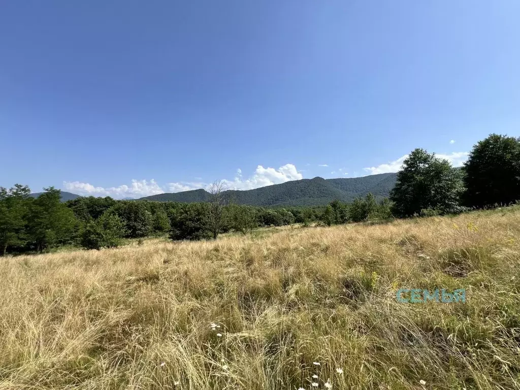 Участок в Северная Осетия, Владикавказ Иристон СТ, ул. Тибская (4.88 ... - Фото 2