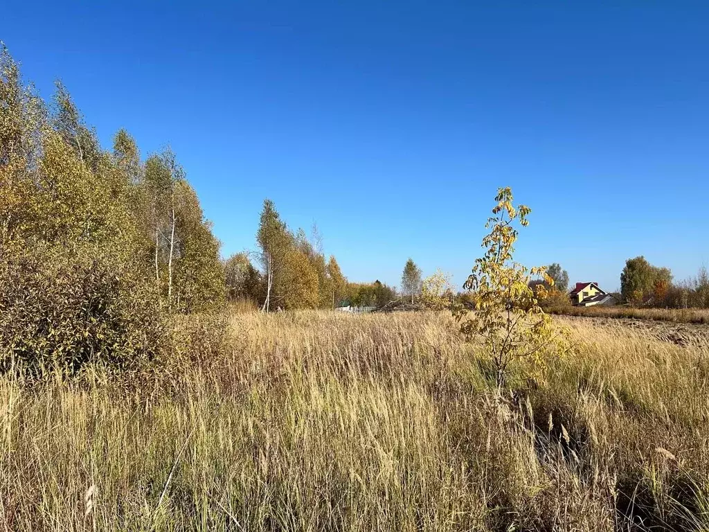 Участок в Нижегородская область, Богородский муниципальный округ, с. ... - Фото 1