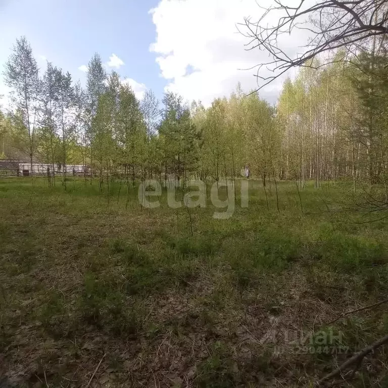Участок в Марий Эл, Медведевский район, Куярское с/пос, Чодра СНТ 286 ... - Фото 2