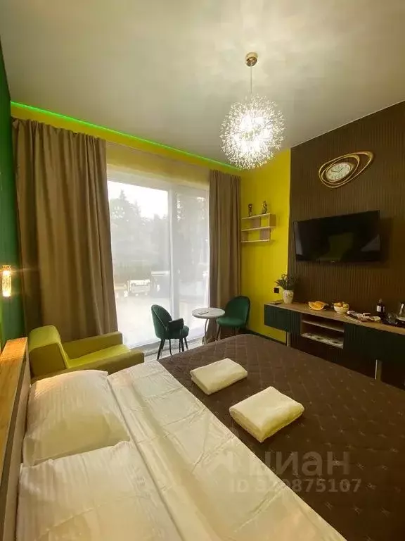 Студия Краснодарский край, Сочи ул. Ленина, 219 (25.0 м) - Фото 2