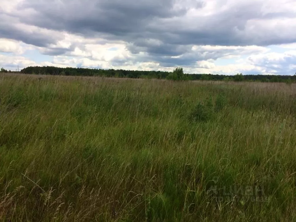 Участок в Владимирская область, Александровский район, Андреевское ... - Фото 1